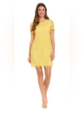 London Times Sunshine Scallop Hem Lace Dress size 14